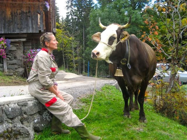 Immagine: Agriturismo ad Arabba, Dolomiti