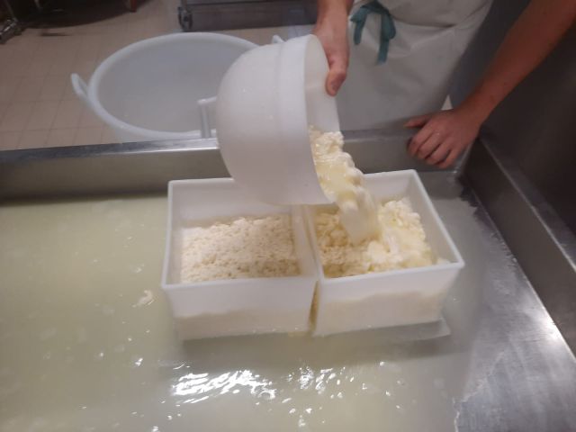 Immagini: Latteria di Livinallongo