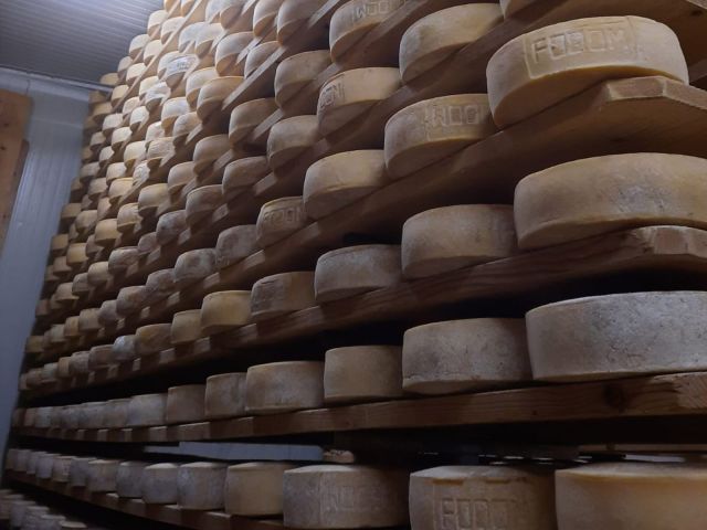 Immagini: Latteria di Livinallongo