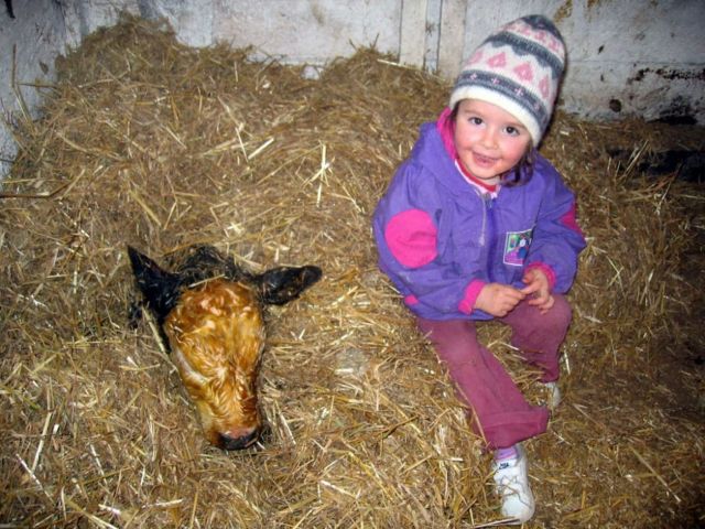 Immagini: Stalla di Masarei