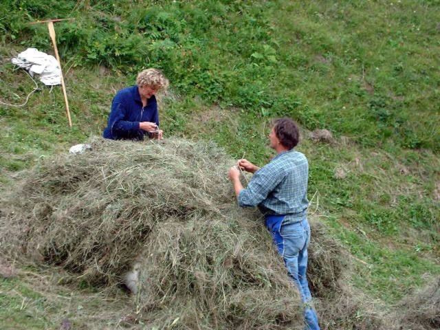 Immagine: Valle di Coste