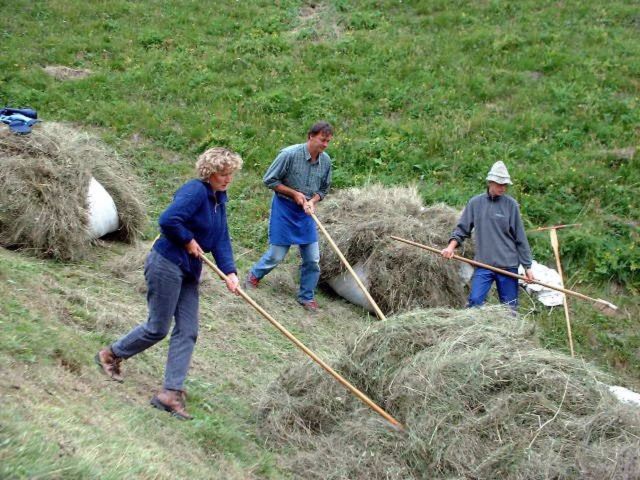 Immagine: Valle di Coste