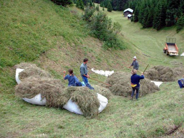 Immagine: Valle di Coste